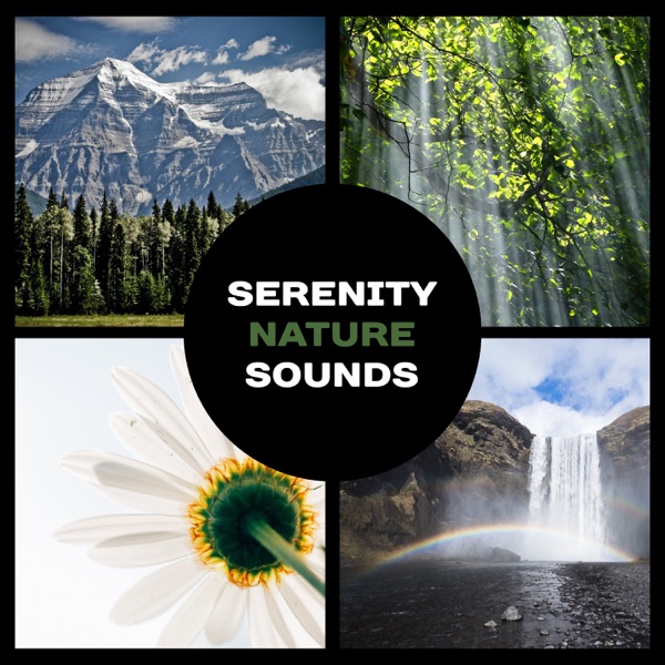Serenity Nature Sounds – Gentle Relaxation Music, Total Looseness, Meditation in Garden Zen, Beautiful Oasis of Peace, Deep Sleep