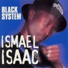 Black System, 1980