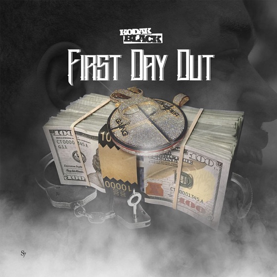 Cover artwork for First Day Out