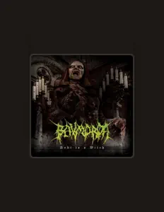 Posłuchaj wykonawcy Bavmorda, obejrzyj teledyski, przeczytaj biografię, zobacz daty tras koncertowych i nie tylko!