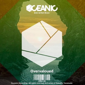 Overvalued - Single