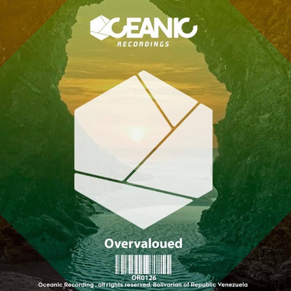 Overvalued - Single