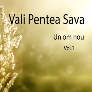 nimic nu sunt vali pentea nimic nu sunt vali pentea