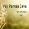 Aleluia! Glorie - Vali Pentea Sava lyrics