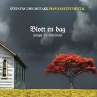 Sveinung Hølmebakk