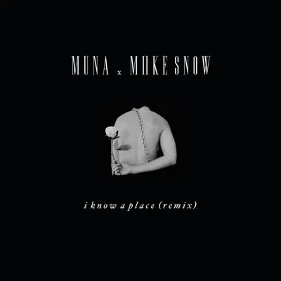 I Know A Place (Remix) - Single - Miike Snow