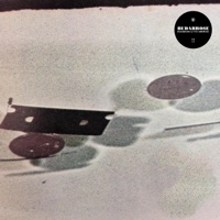 Budabrose - BudaMunk & Fitz Ambrose