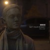 Not Your Monkey - Single
