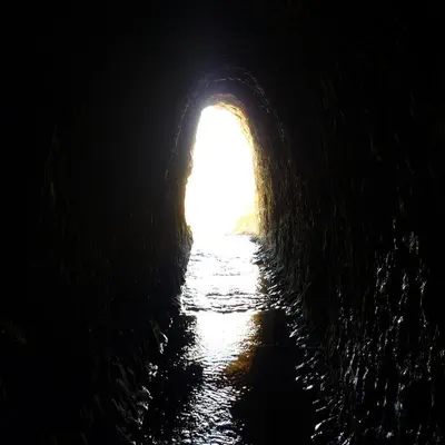 Chrysalis - Single - Faris Monshi
