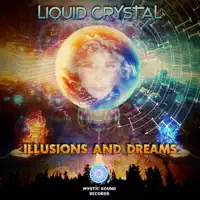Structure Of Excitation — Liquid Crystal