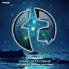 Guardians of Forever - Single