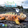 Sounds from the Galápagos - The Touch of Sound