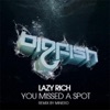 You Missed a Spot - Single