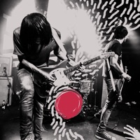 The Cribs