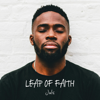 Leap of Faith - Juls