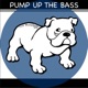 Pump Up the Bass feat BeatBoxer Minimal Mix Single