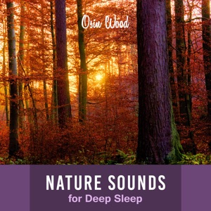 Nature Sounds for Deep Sleep