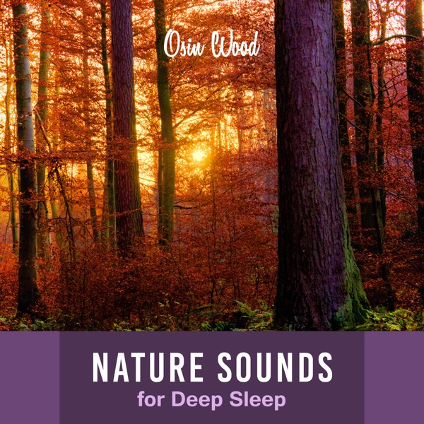 Nature Sounds for Deep Sleep