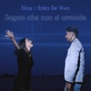 Sogno che non si arrende (feat. Erika De Vivo) - Single