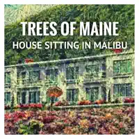 House Sitting in Malibu (Lusca Mix) — Trees Of Maine