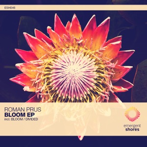 Bloom / Divided - Single