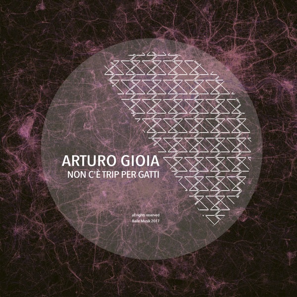 Non c'è Trip Per Gatti - Single