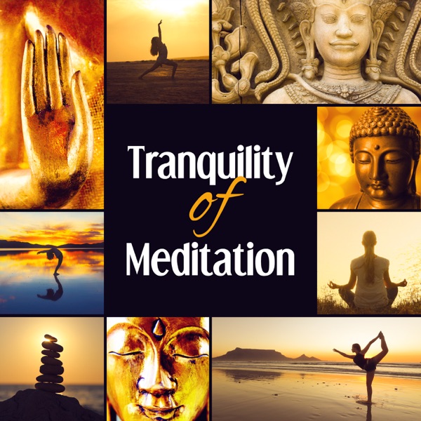Tranquility of Meditation: Find Your Inner Peace, Mindfulness Meditation Time, Zen Relaxation, Perfect Balance Body and Mind