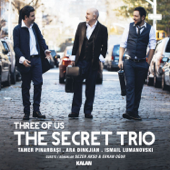 Three of Us - The Secret Trio