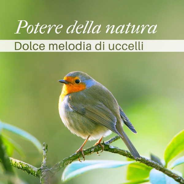 Potere della natura: Dolce melodia di uccelli - Spirito libero e guarigione spirituale con musica zen, new age & Suoni della natura