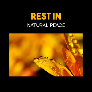 Rest in Natural Peace – Cure Insomnia, Lower Stress and Anxiety, Restorative Sleep with Soothing New Age Music, Deep Relaxation for Sleep