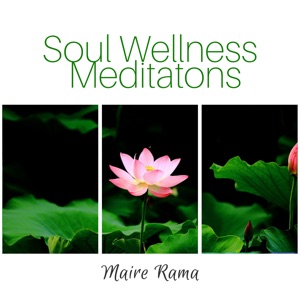 Soul Wellness Meditatons