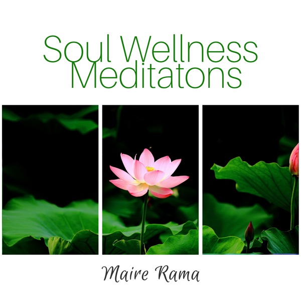 Soul Wellness Meditatons