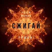 Сжигай (feat. PROXXX) - Single - Tanir & Tyomcha