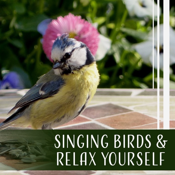 Singing Birds & Relax Yourself - Inner Awakening, Time for Relaxation & Meditation, Sleep, Harmony of Senses, Just Calm