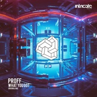 What You Got - Single - PROFF