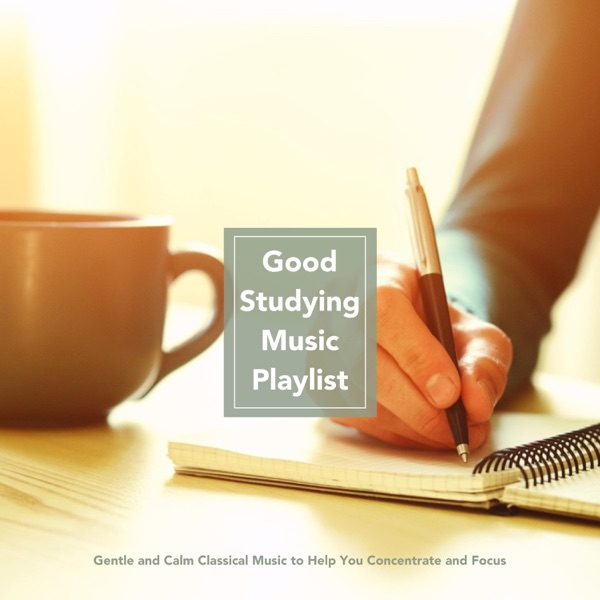 Good Studying Music Playlist: Gentle and Calm Classical Music to Help You Concentrate and Stay Focused - Multi-interprètes