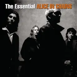 The Essential Alice In Chains - Alice In Chains