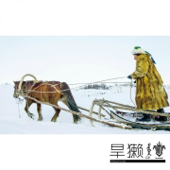 Ezir-Kara (骏马黑鹰)