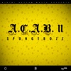 A.C.A.B. II - Single