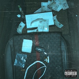 Want It (feat. SIMAHOI & 7Dustyy) GooseBumps