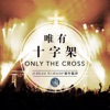 Only the Cross, 2017