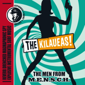 The Men from M.E.N.S.C.H song art