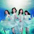 Water Lily - Suiren