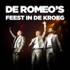 Feest In De Kroeg - Single