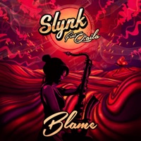 Blame (feat. Q'Aila) - Single - Slynk
