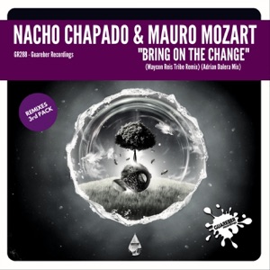 Bring On the Change (Remixes 3rd Pack) - Single