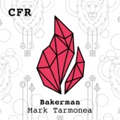 Bakerman (Radio Edit) artwork