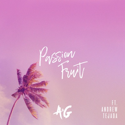 Passionfruit (feat. Andrew Tejada) - Single