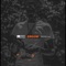 Srgow (Sonny Rollin' Grams of Wax) - Sonny Digital lyrics
