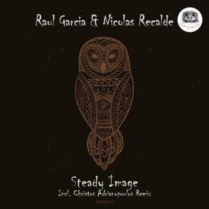 Steady Image - Single